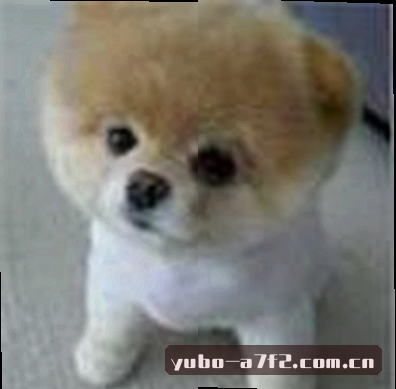 小婷